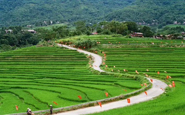Ruộng bậc thang xanh ở Pù Luông, Thanh Hoá